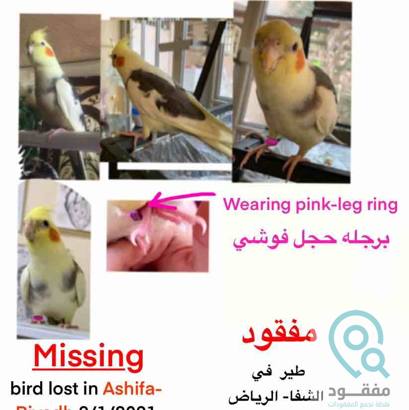 ads