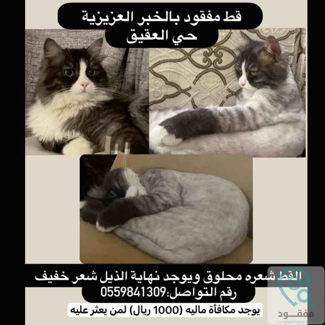 ads