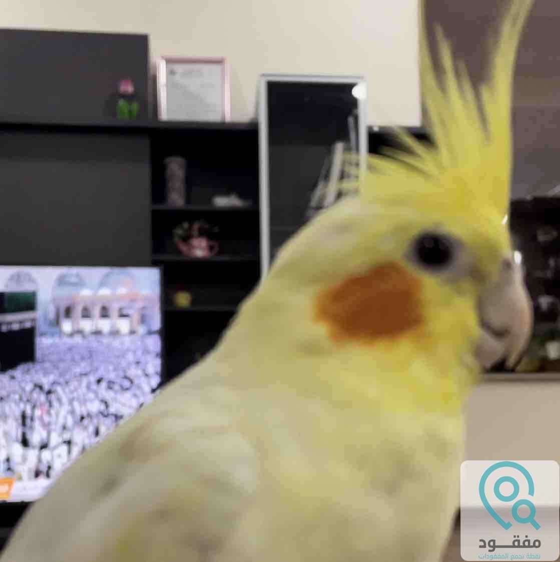 ads