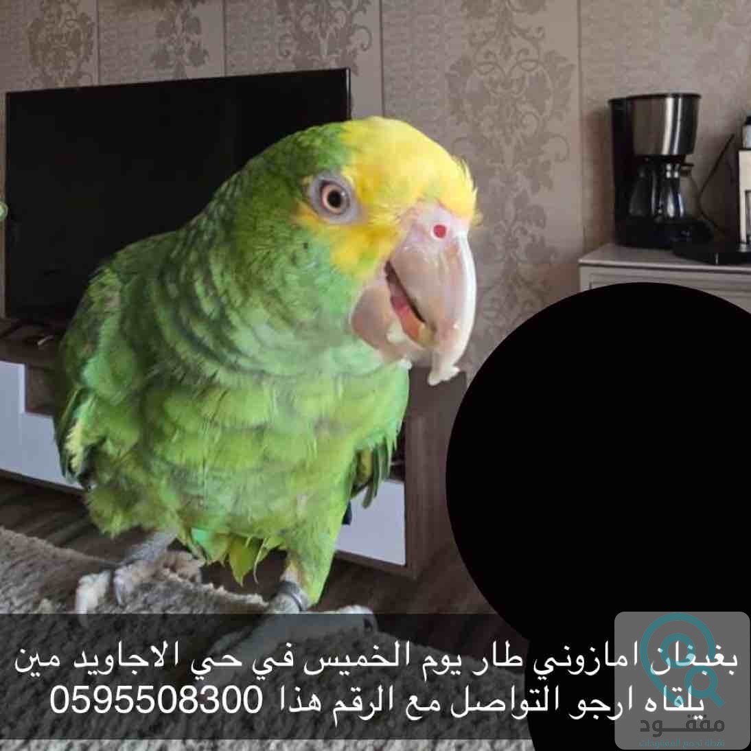 ads