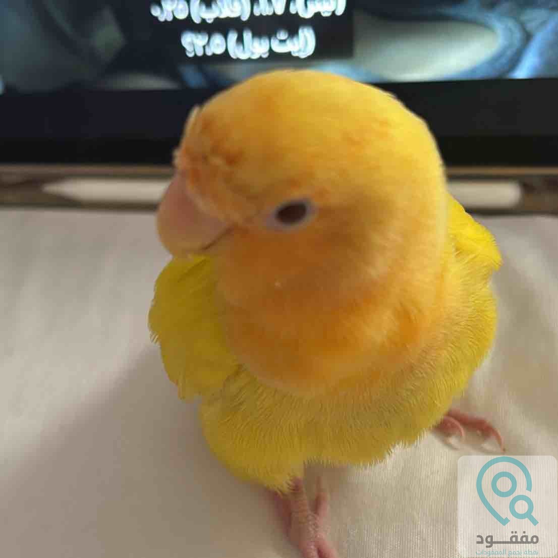 ads
