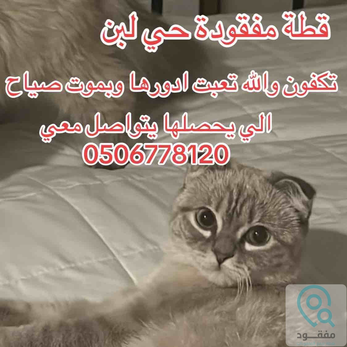 ads