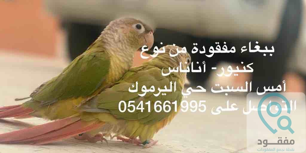 ads