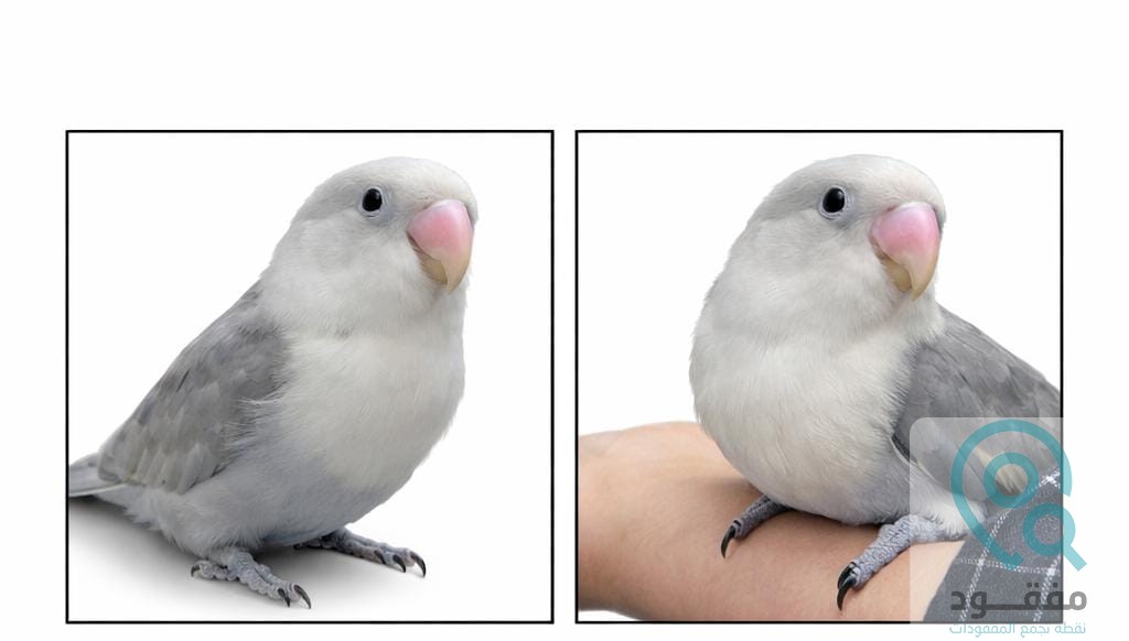 ads