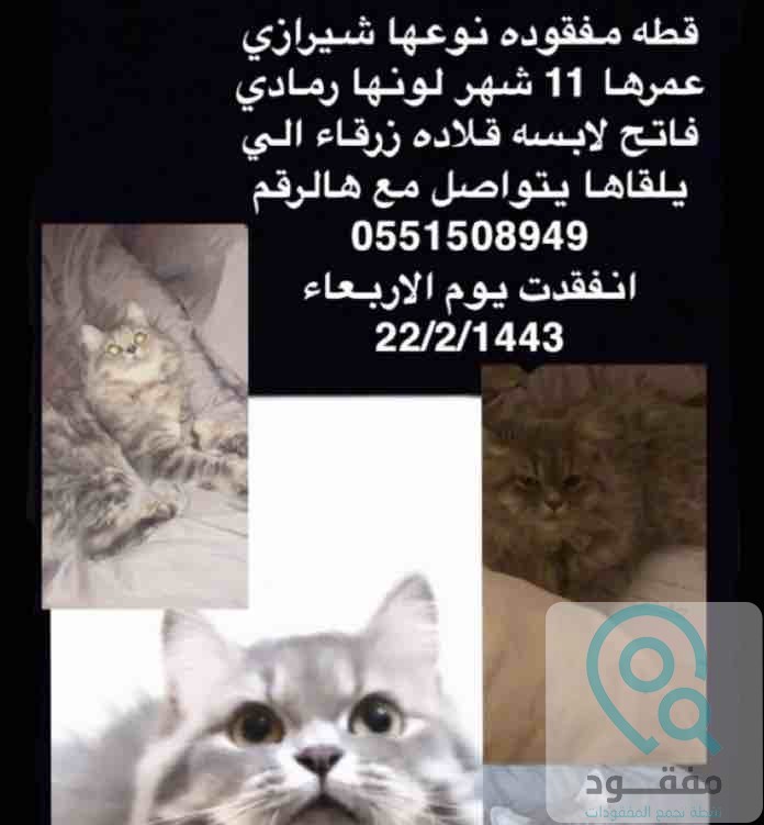ads