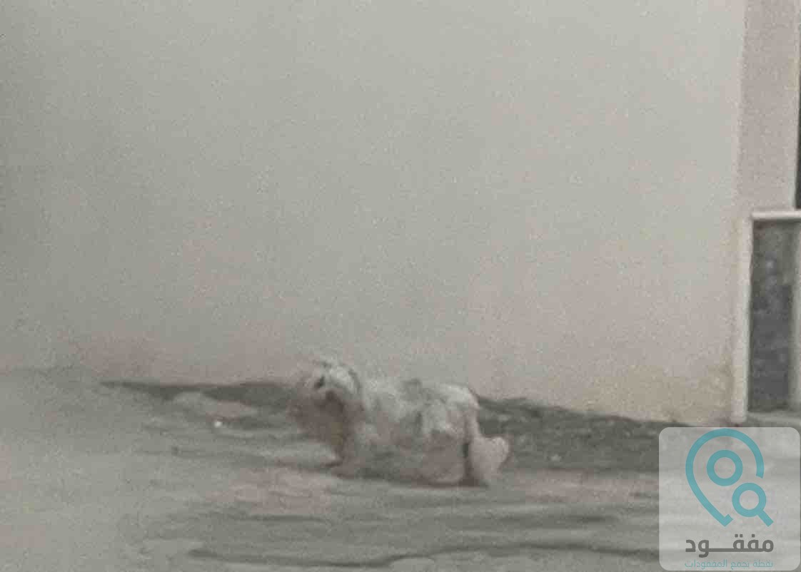 ads
